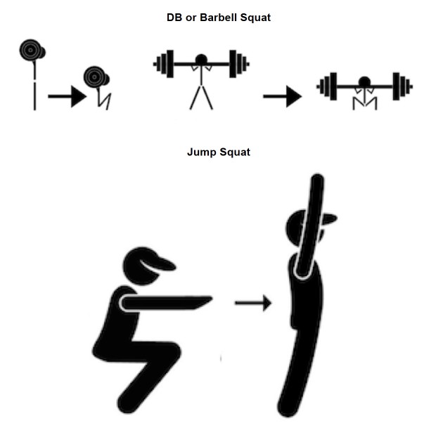 Metabolic Movements