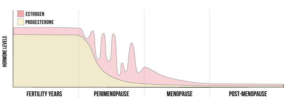 Hormone levels-graph