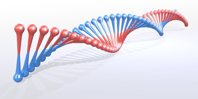 Metabolic renewal quiz feautured image