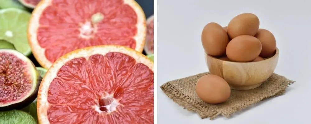 Egg and Grapefruit Diet