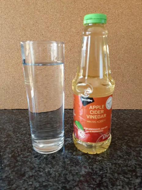 14 day apple cider vinegar challenge_water and vinegar