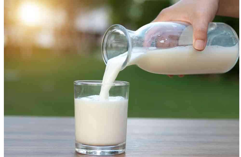 liquid_milk