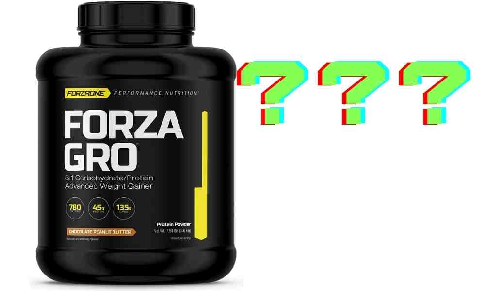 Forza Gro weight Gainer