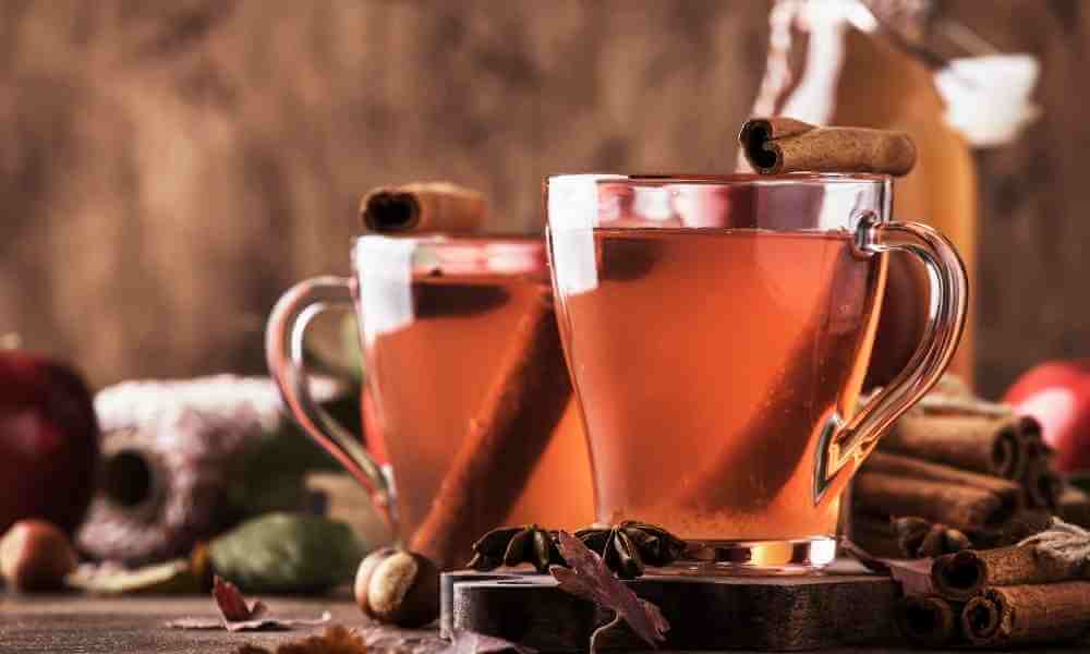 Hot mulled apple cider vinegar