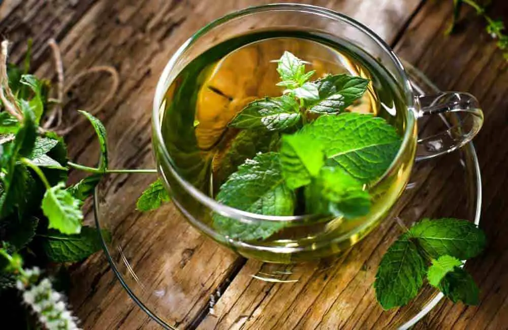 10 Teas For People Who Dont Like Tea - Nutrition Lunatic