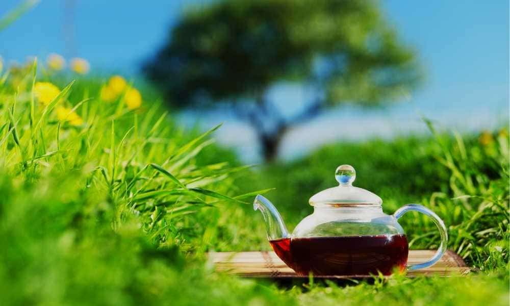 natural tea_020821